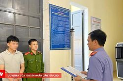 Truy tố 'ông trùm' ma túy giấu hàng ở chuồng gà, xe bò