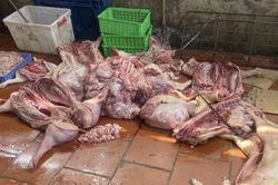 Rùng mình cơ sở kinh doanh thịt lợn bốc mùi hôi, mắc bệnh truyền nhiễm