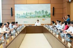 Đại biểu Quốc hội Hải Phòng, Quảng Ninh góp nhiều ý kiến hoàn thiện các dự án luật quan trọng