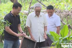 Khi 'thủ lĩnh' khối x&oacute;m l&agrave; những người trẻ
