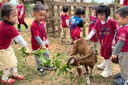Phát triển du lịch bền vững từ trải nghiệm nông nghiệp gắn với văn hóa bản địa