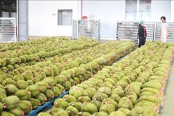 Trái cây Việt trước cơ hội bứt phá tại thị trường tỷ dân