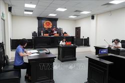 Đo&agrave;n Bảo Ch&acirc;u bị phạt 7 năm t&ugrave; về h&agrave;nh vi tuy&ecirc;n truyền chống Nh&agrave; nước