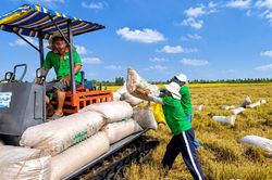 Nợ vay của Xuất nhập khẩu Kiên Giang tăng gấp 5 lần sau nửa đầu năm 2026