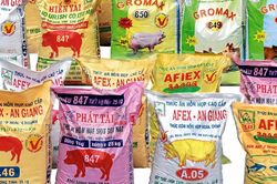Doanh thu tài chính khởi sắc, Afiex tăng gần 40% lợi nhuận