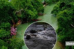 Vụ nước sông chuyển màu đen, hôi tanh 5km: Chính quyền đề nghị công an vào cuộc