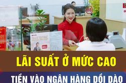 Kênh tín dụng đang hút dòng tiền rất lớn