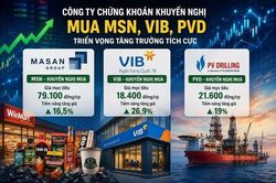 Cổ phiếu MSN, VIB và PVD lọt 'tầm ngắm' khuyến nghị mua nhờ đâu?