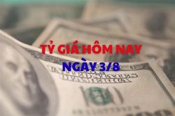 Tỷ giá hôm nay 3/8: USD và NDT đồng loạt tăng