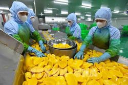 Trái cây Việt trước cơ hội bứt phá tại thị trường tỷ dân