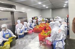 Kim ngạch xuất nhập khẩu 7 tháng tăng trên 28%