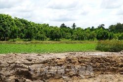 Cao tốc xẻ đôi ruộng vườn, người dân Đồng Tháp mong đường gom