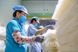 Tây Ninh làm gì để doanh nghiệp vươn ra thị trường thế giới?
