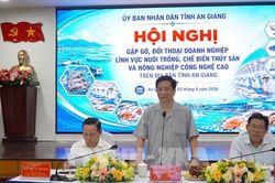 Chủ tịch An Giang: Không đùn đẩy trách nhiệm với doanh nghiệp