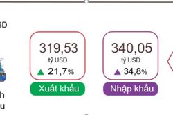 7 tháng, tổng kim ngạch xuất, nhập khẩu tăng 28,1%