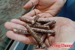 V&igrave; sao ng&agrave;nh gỗ vẫn loay hoay với v&ugrave;ng nguy&ecirc;n liệu?