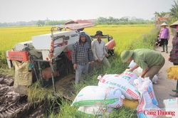 Xuất khẩu nông, lâm, thủy sản đạt gần 42,8 tỷ USD sau 7 tháng năm 2026