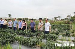 Nga Thắng phấn đấu trở thành xã phát triển khá của tỉnh