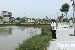 Đấu giá quyền sử dụng đất - thị trường 'hạ nhiệt', giá trị thực lên ngôi