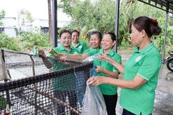 Việc nhỏ vun đắp nghĩa tình