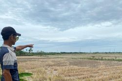 Giải bài toán đất ruộng thiếu nước tưới
