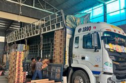Kiểm soát tình trạng găm hàng, tăng giá mùa mưa lũ