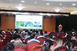 Tập huấn triển khai Kịch bản tăng trưởng kinh tế quý III và cả năm 2026