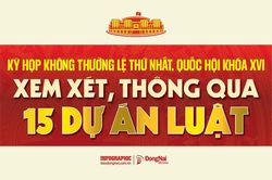 [Infographic] Kỳ họp không thường lệ thứ Nhất, Quốc hội khóa XVI: Xem xét, thông qua 15 dự án luật