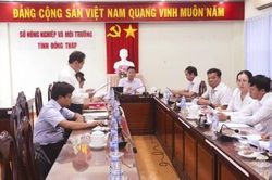 Đo&agrave;n Kiểm tra 430 l&agrave;m việc với Ban Thường vụ Đảng ủy Sở N&ocirc;ng nghiệp v&agrave; M&ocirc;i trường