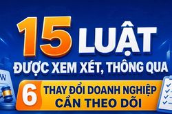 Infographic 15 luật được xem xét, thông qua: 6 thay đổi doanh nghiệp cần theo dõi