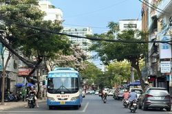 Hỗ trợ vận tải hành khách công cộng bằng xe buýt