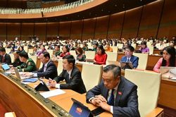 Đại biểu Quốc hội tỉnh thảo luận tại tổ, góp ý vào một số dự án luật