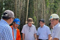 Lâm Đồng đôn đốc tiến độ 4 dự án giao thông trọng điểm