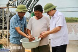 Khơi dậy tiềm năng từ kinh tế hộ gia đình