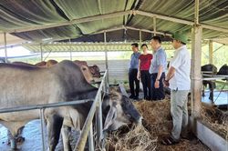 Phát triển nông nghiệp bền vững