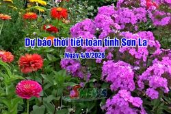 Dự b&aacute;o thời tiết to&agrave;n tỉnh Sơn La ng&agrave;y 04/8/2026