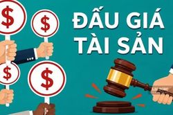 Hải quan đấu giá nhiều lô tài sản tịch thu, có lô khởi điểm hơn 1 tỉ đồng
