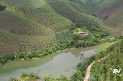 Phát triển rừng FSC ở Văn Hán
