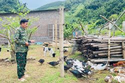 Người lính trở về gieo mùa quả ngọt