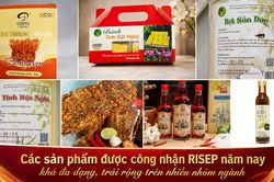 Bình chọn RISEP: Bệ phóng để sản phẩm Quảng Ngãi vươn xa