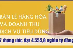 Infographics: Bán lẻ hàng hóa và doanh thu dịch vụ tiêu dùng 7 tháng tăng 13,1%