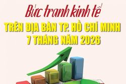 Infographics: Bức tranh kinh tế TP. Hồ Chí Minh 7 tháng năm 2026