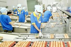 Gần 126 nghìn doanh nghiệp 'khai sinh' trong 7 tháng năm 2026