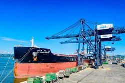 Xuất nhập khẩu tăng 28,1% sau 7 th&aacute;ng, nhập si&ecirc;u 20,52 tỷ USD