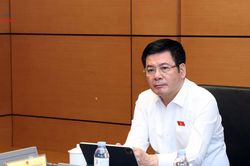 Nghiên cứu kỹ quy định xác định chủ quản nền tảng thương mại điện tử là người khai hải quan