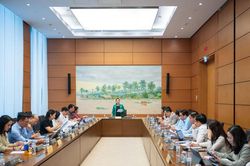 Thông quan nhanh không đồng nghĩa với buông lỏng quản lý