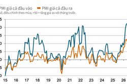 PMI tăng lên 52,9 điểm, ngành sản xuất khởi đầu nửa cuối năm đầy tích cực