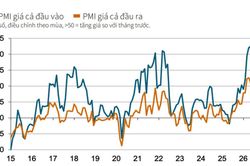 PMI tăng lên 52,9 điểm, ngành sản xuất khởi đầu nửa cuối năm đầy tích cực