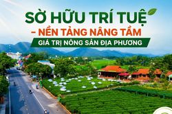 Sở hữu trí tuệ: Nền tảng nâng tầm giá trị nông sản Thái Nguyên