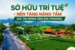 Sở hữu trí tuệ: Nền tảng nâng tầm giá trị nông sản Thái Nguyên